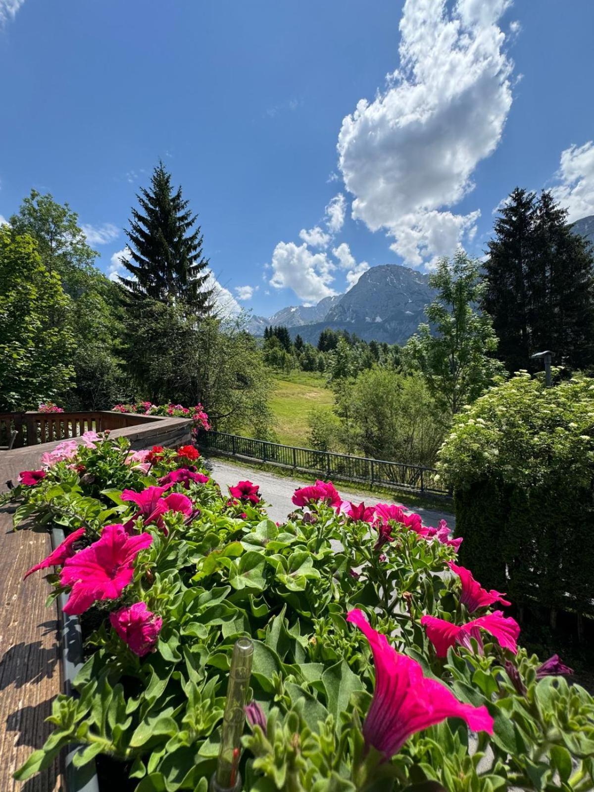 Sonnenburg Hotel Ehrwald Zewnętrze zdjęcie